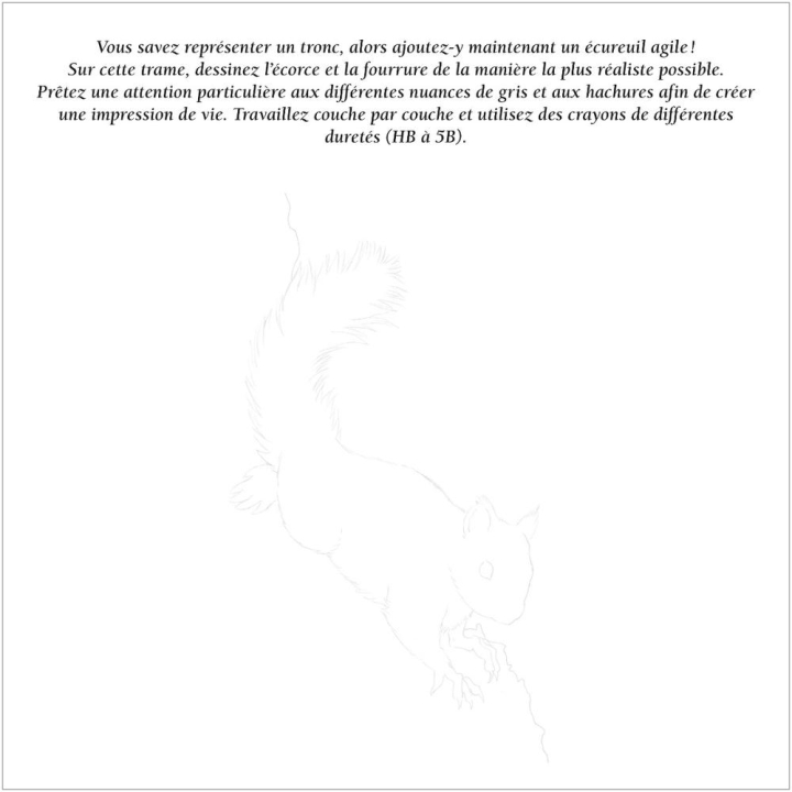 Livre Dessiner tout de suite et facilement : La nature - Éditions Vigot - Rougier et Plé