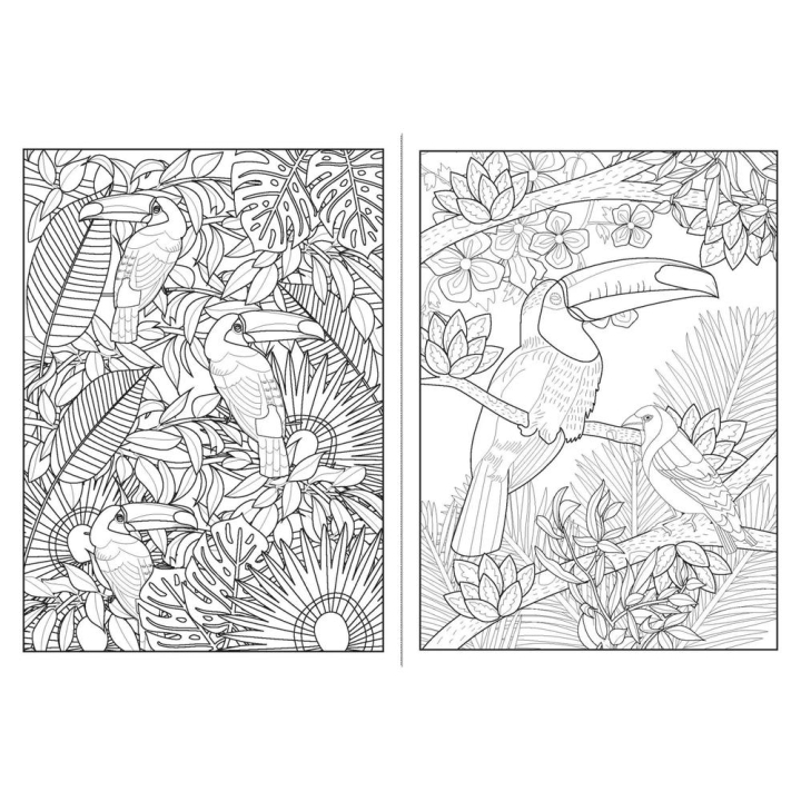 Livre de 100 coloriages Jardins exotiques - Solar - Rougier et Plé