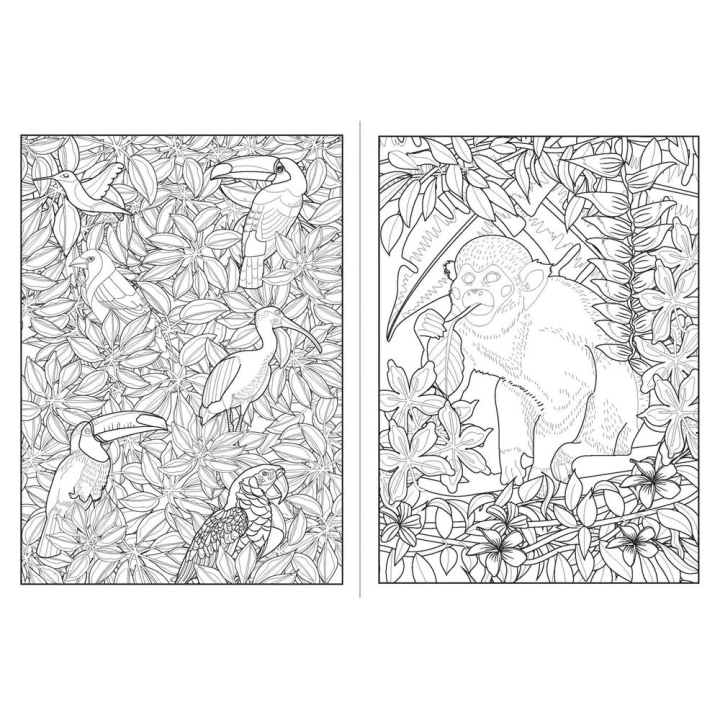 Livre de 100 coloriages Jardins exotiques - Solar - Rougier et Plé