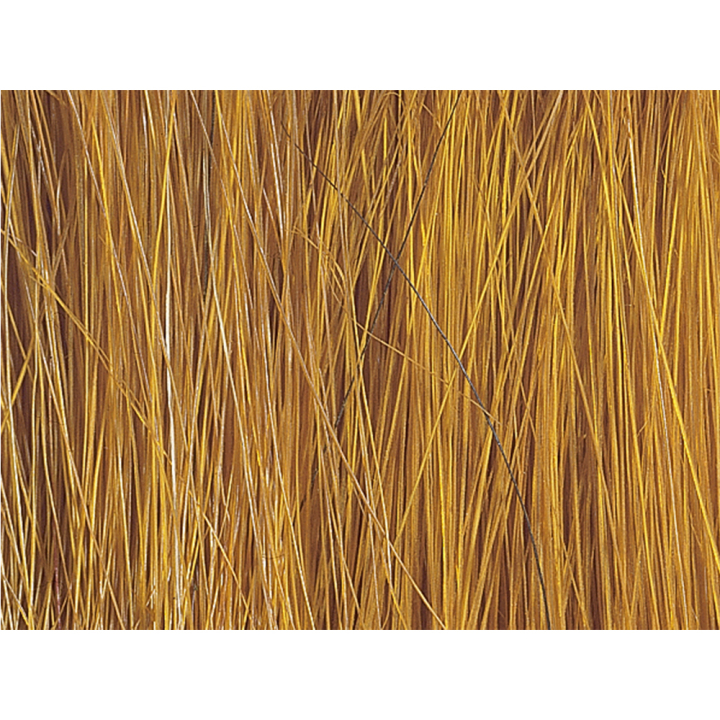 Roseaux Vert beige et marron - Noch - Rougier et Plé