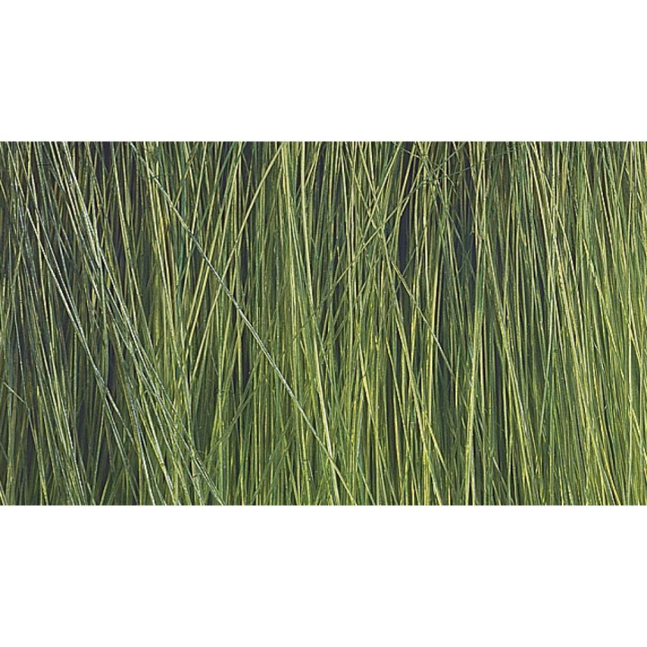 Roseaux Vert beige et marron - Noch - Rougier et Plé