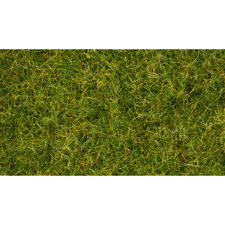 Mélange d'herbes Pré d'été 50 g - Noch - Rougier et Plé