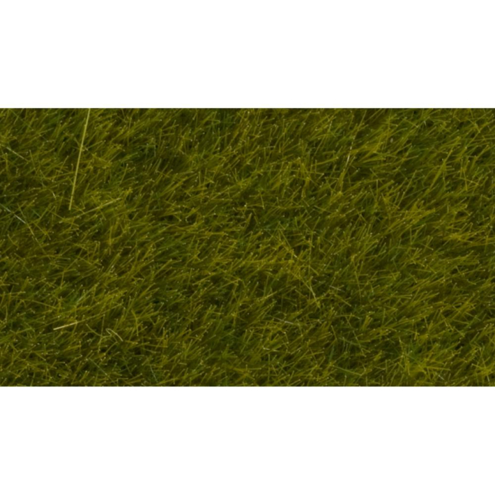 Herbes sauvages Pré 6 mm - 50 g - Noch - Rougier et Plé