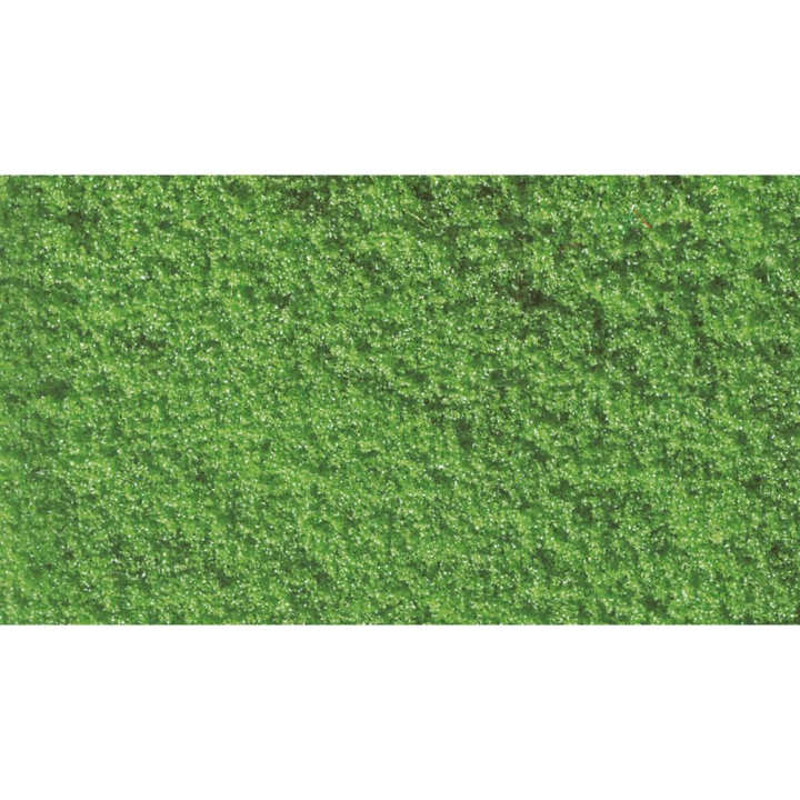 Flockage Vert clair 30 g - Noch - Rougier et Plé