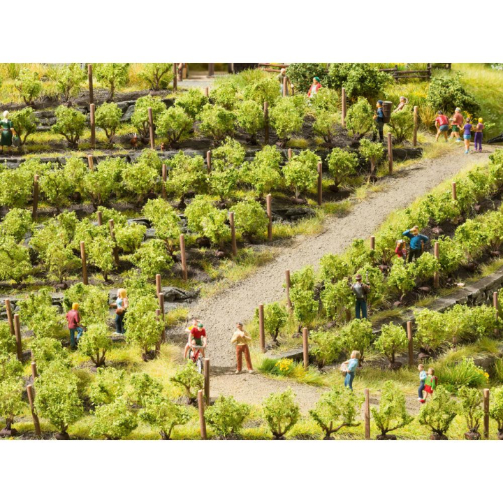 Vignes 2,2 cm - 24 pcs - Noch - Rougier et Plé