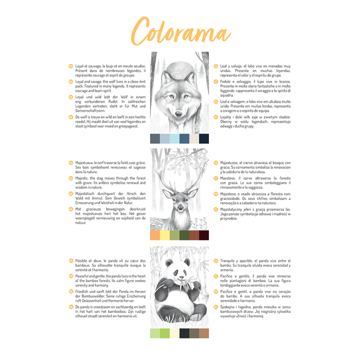 Bloc de coloriage multi-techniques Odelia Les animaux 20 feuilles A4 250 g/m² - Clairefontaine - Rougier et Plé