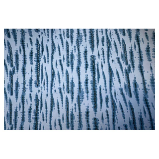 Papier fait main Lignes Bleues – 50 x 70 cm - Esprit Papier - Rougier et Plé