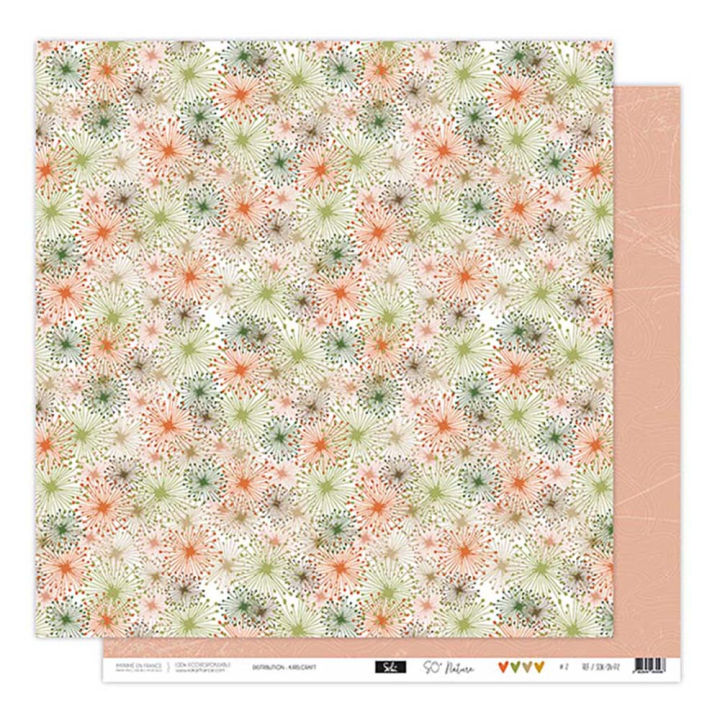 Papier imprimé 30,5 x 31,5 cm 250 g/m² So'Nature N°2 - Sokaï - Rougier et Plé