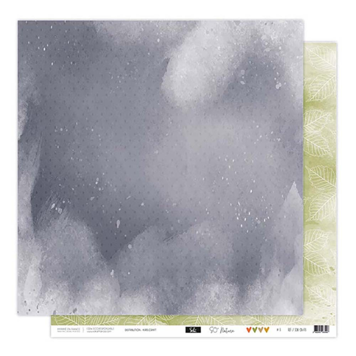 Papier imprimé 30,5 x 31,5 cm 250 g/m² So'Nature N°3 - Sokaï - Rougier et Plé