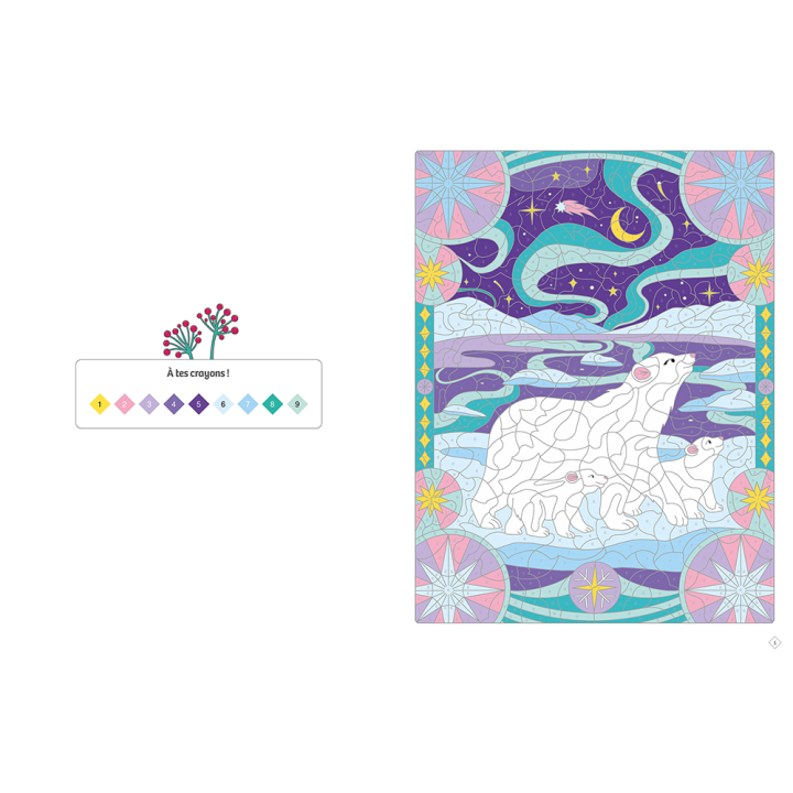 Coloriages mystères Bel hiver - Deux Coqs d'Or - Rougier et Plé