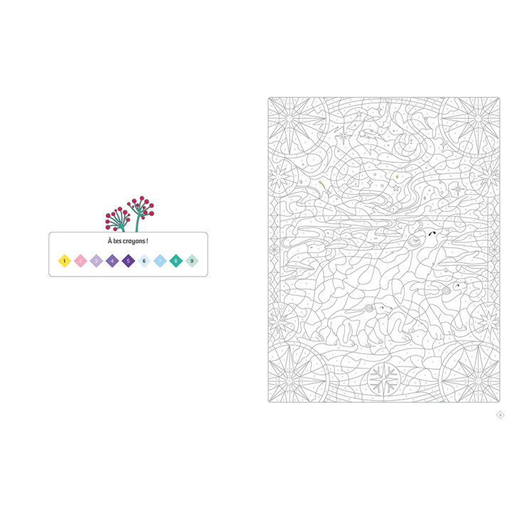 Coloriages mystères Bel hiver - Deux Coqs d'Or - Rougier et Plé