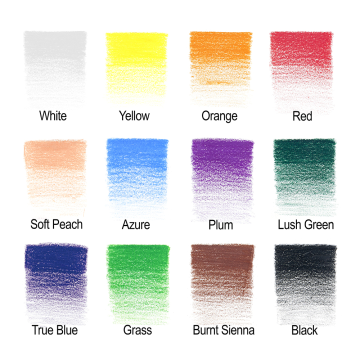 Crayon de couleur Studio Boîte métal de 12 - Winsor & Newton - Rougier et Plé