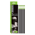 Fusain Académie B tendre 5 mm 5 pcs - Nitram - Rougier et Plé