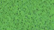 Encreur Izink Pigment -...