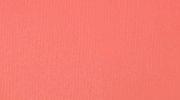 Peinture acrylique Basics -...