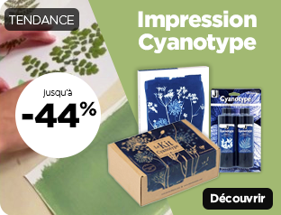 Impression solaire cyanotype Rougier&Plé