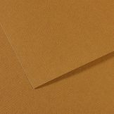 Papier Mi-Teintes 160g 75 x 110cm