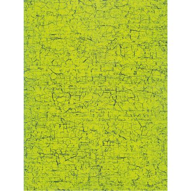 Papier Décopatch 30 x 40cm 301 vert