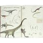 Cahier d'activités Les petits curieux Dinosaures