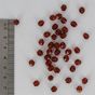 Perle en verre de Bohême ovale à facettes transparente - 5 x 6 mm