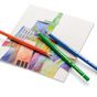 Crayon de couleur Polychromos - Coffret en bois 120 couleurs