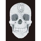 Broderie Diamant kit intermédiaire Crâne de cristal