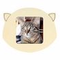 Cadre photo Tête de chat en bois 10 x 12 cm