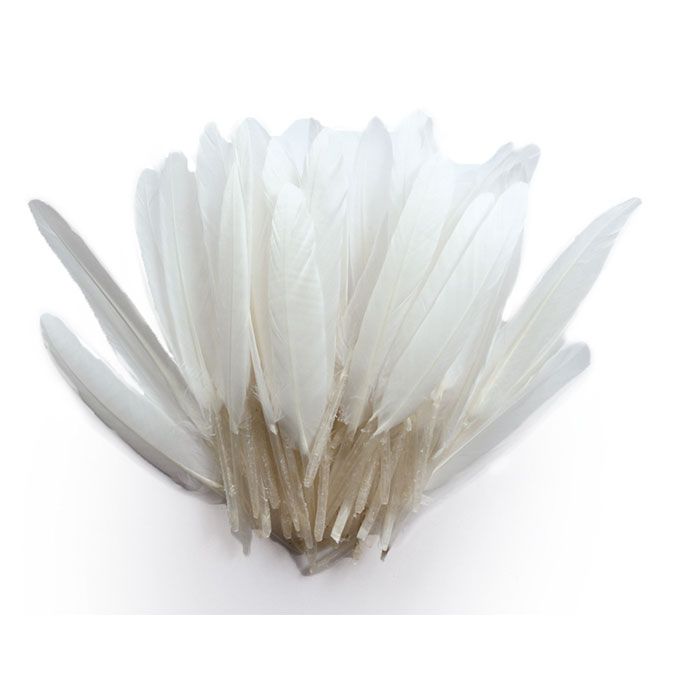 Plumes d'indien blanches 15 cm 10 g