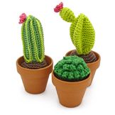 Crochet Kit cactus