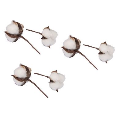 Fleurs de coton Ø 6 cm