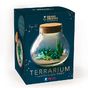 Kit FIMO terrarium