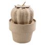 Mini cactus boule 7 x 7 x 11 cm