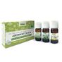 Aroma’Kit Detox 3 Huiles essentielles Bio