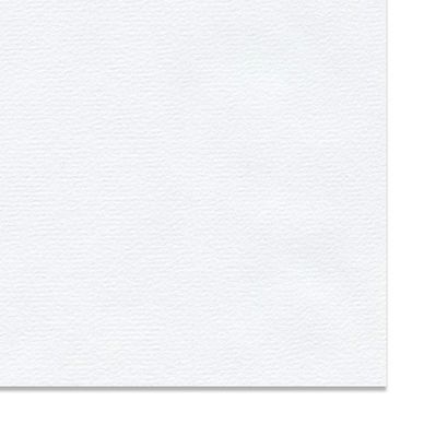 Papier Ingres The Collection 150 g/m² 78 x 104 cm Blanc