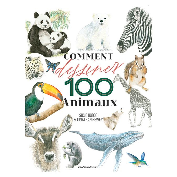 Livre Comment dessiner 100 Animaux