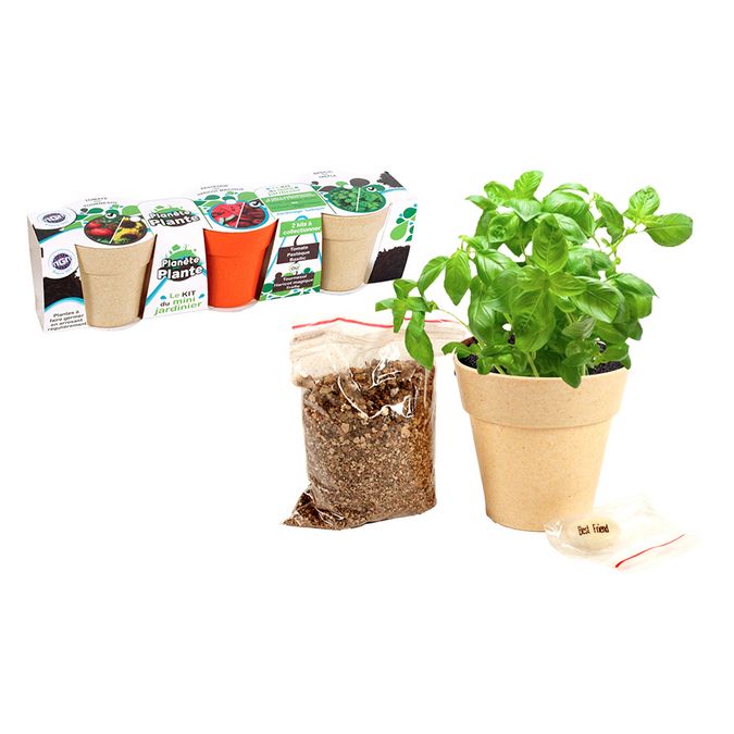 Kit du Mini Jardinier 3 Plantes à semer