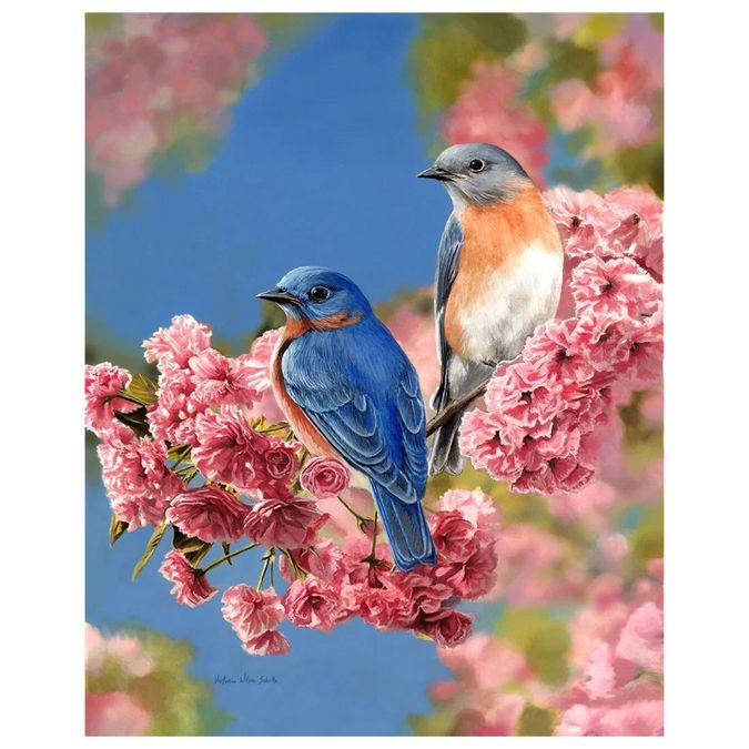 Peinture par numéros Couple d'oiseaux bleus