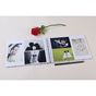 Album Photo à Spirales 50 pages blanches 32 x 22 cm La Vie En Rose