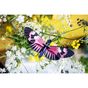 Décoration murale 3D 19 x 6 x 9 cm Papillon Longwing