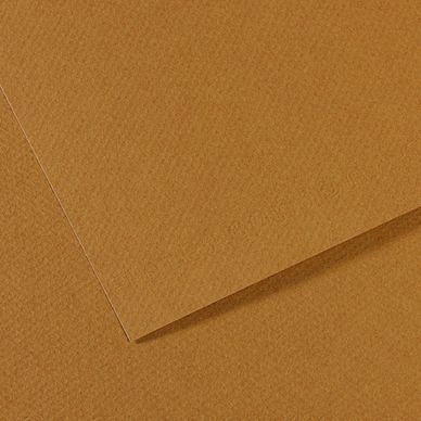 Papier Mi-Teintes 160 g/m² - 50 x 65cm Canson chez Rougier & Plé