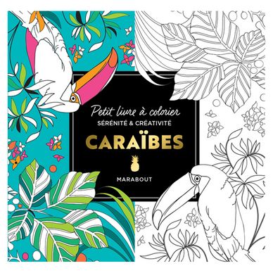 Livre Le petit livre de Coloriage : Caraïbes Marabout chez Rougier